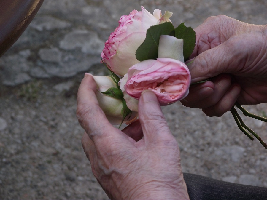 Mignonne, allons voir si la rose...