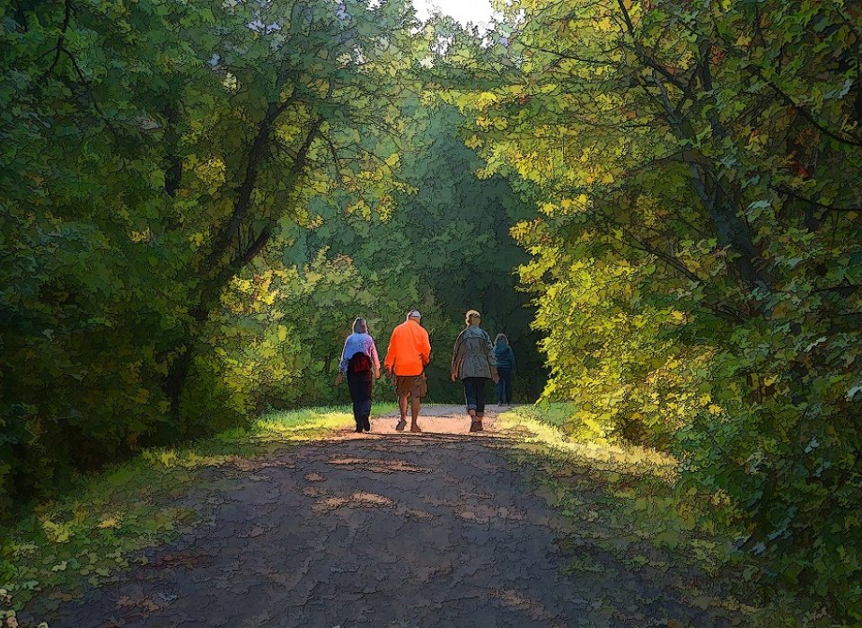 Marche en forêt