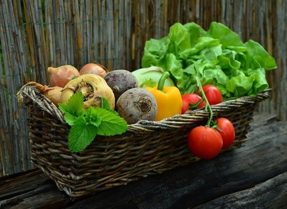 Tajine & ratatouille, le livret des paniers solidaires 