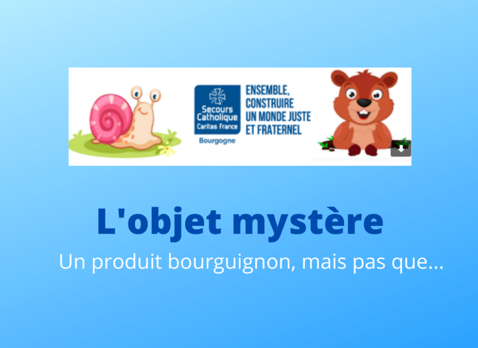 Pour tout savoir sur ce projet bourguignon