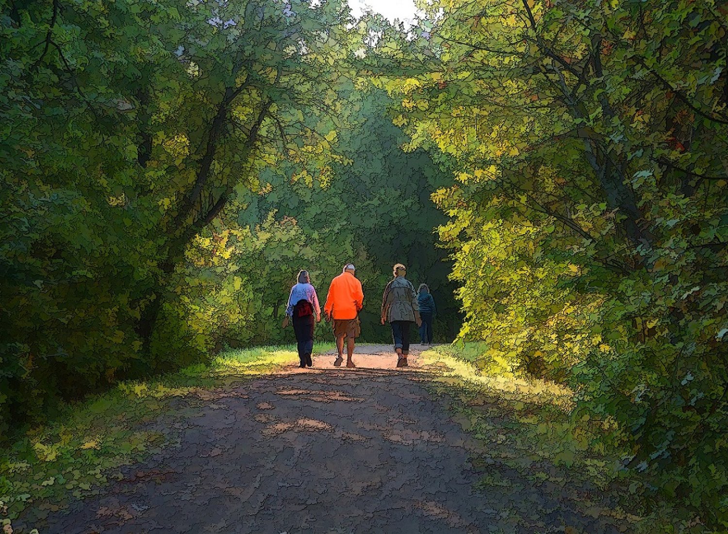 Marche en forêt