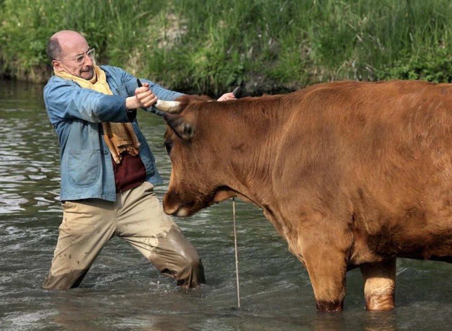 photo du film "La Vache" 2016