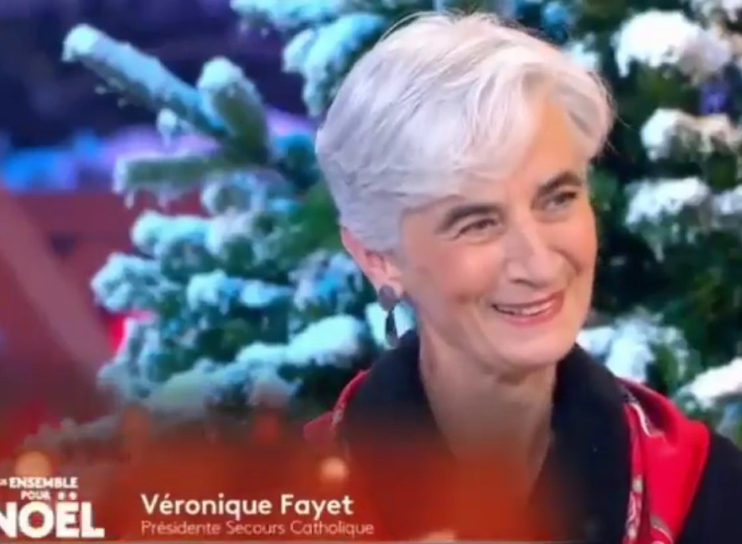 émission sur France 2 du 24 décembre 2020 "Tous ensemble pour Noël"